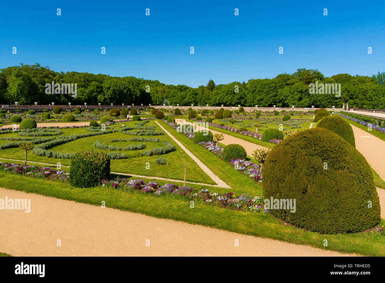 Diane de Poitiers giardino, Chateau de Chenonceau che attraversano il fiume Cher, Valle della Loira, Indre et Loire department, Center-Val de Loire, Francia Foto Stock