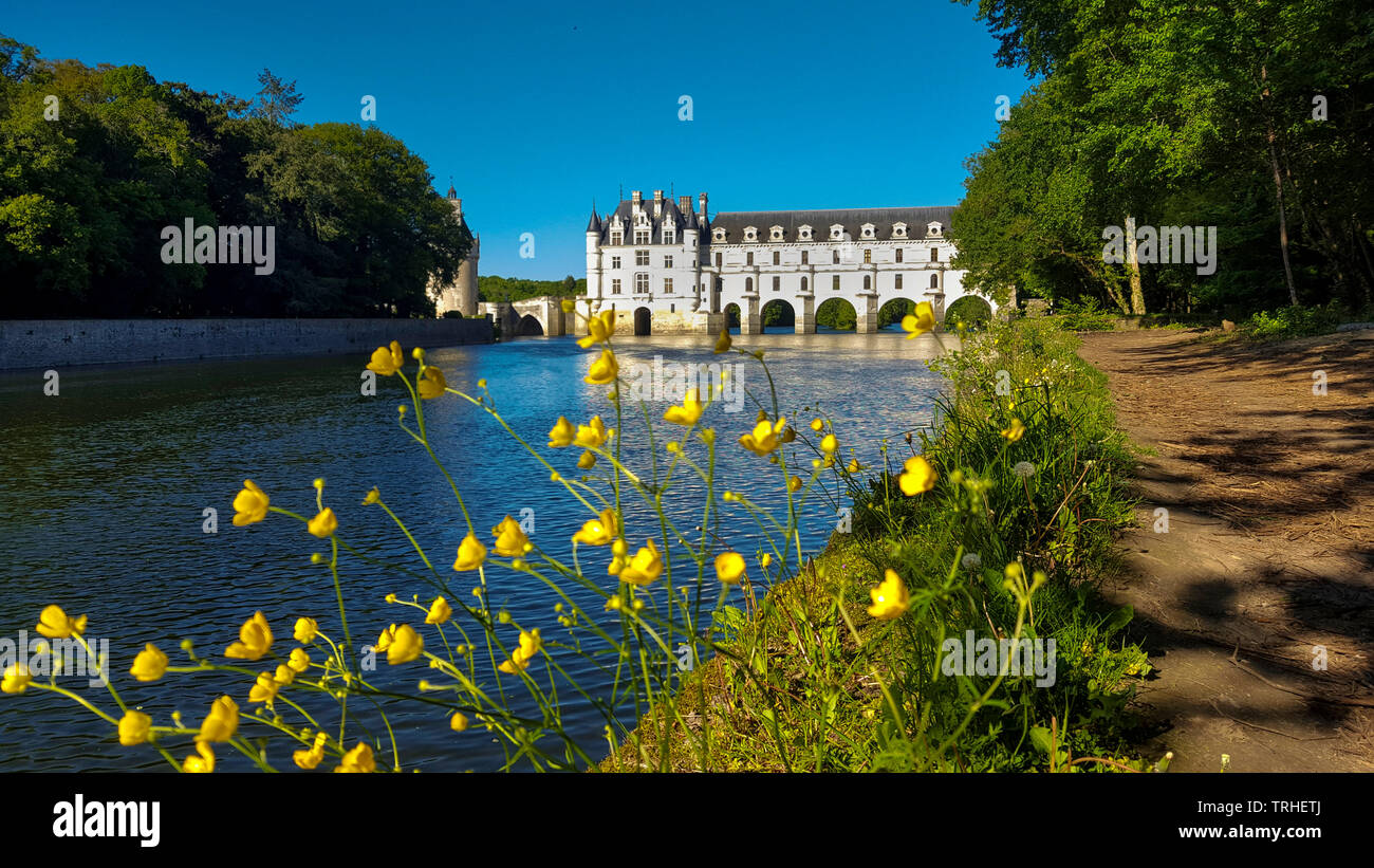 Castello di Chenonceau che attraversano il fiume Cher, Valle della Loira, Indre et Loire department, Center-Val de Loire, Francia Foto Stock