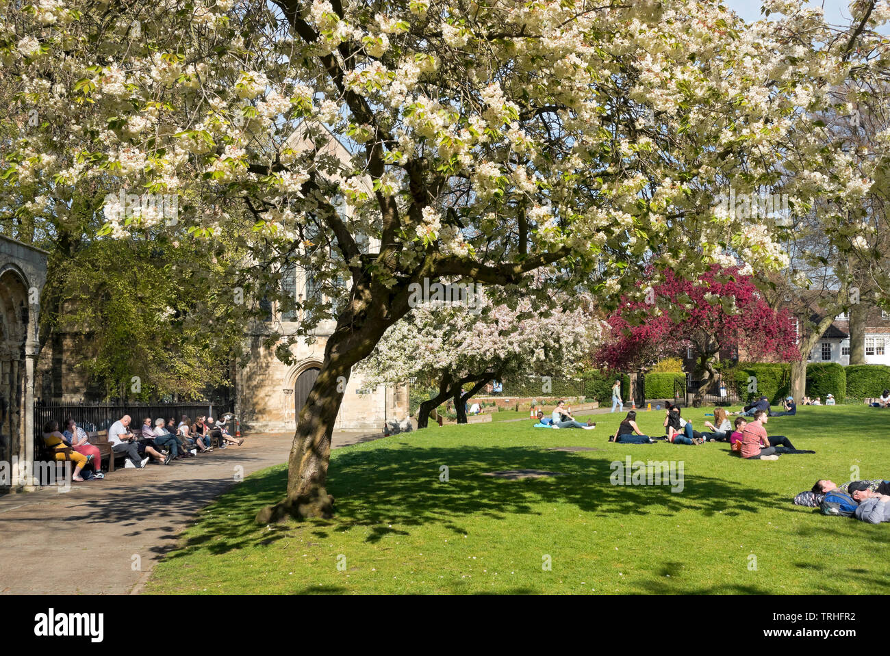 La gente gode di relax nel sole primaverile a Deans Park York North Yorkshire Inghilterra Regno Unito GB Gran Bretagna Foto Stock