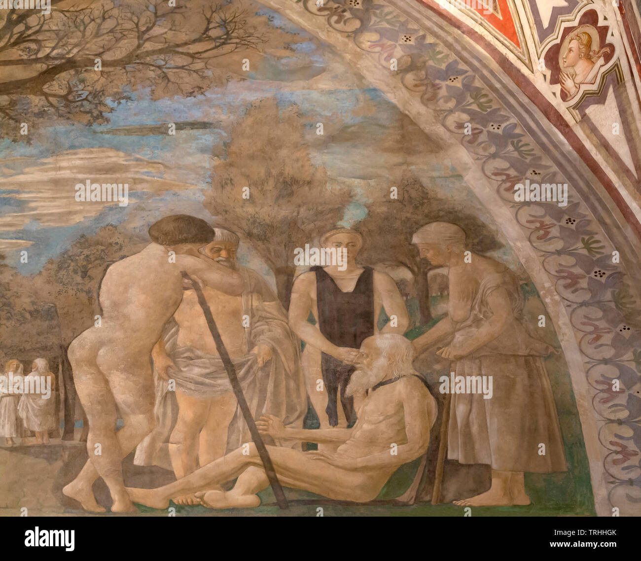 Basilica di san francesco la leggenda della vera croce immagini e ...