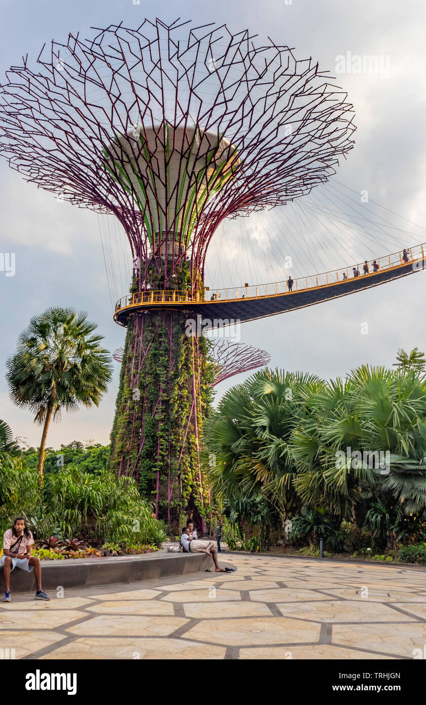 I turisti sulla passerella elevata OCBC Skyway tra due dei Supertrees nel Supertree Grove a giardini dalla Baia di Singapore. Foto Stock