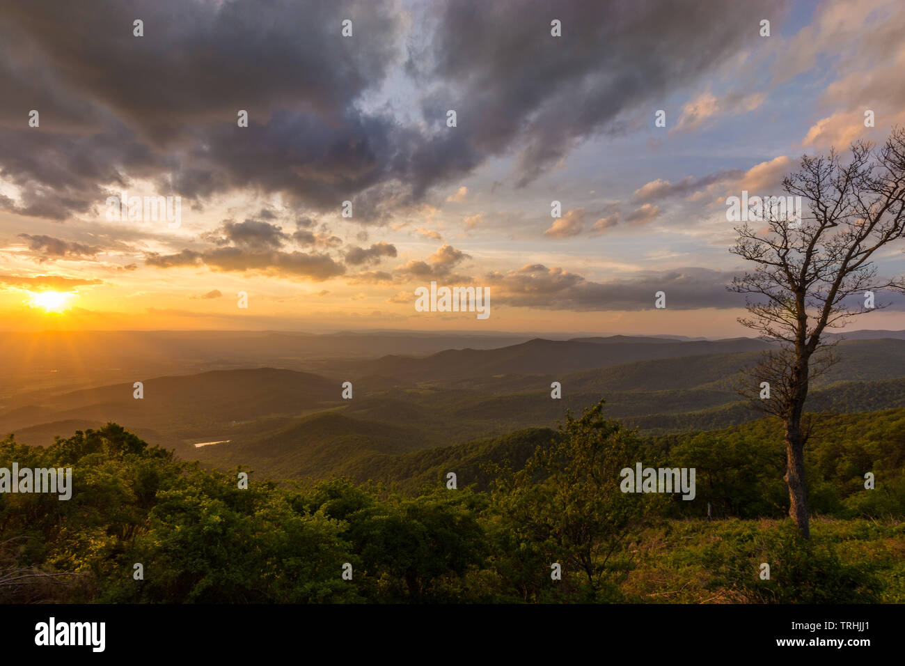 Tramonto nel Parco Nazionale di Shenandoah, STATI UNITI D'AMERICA Foto Stock