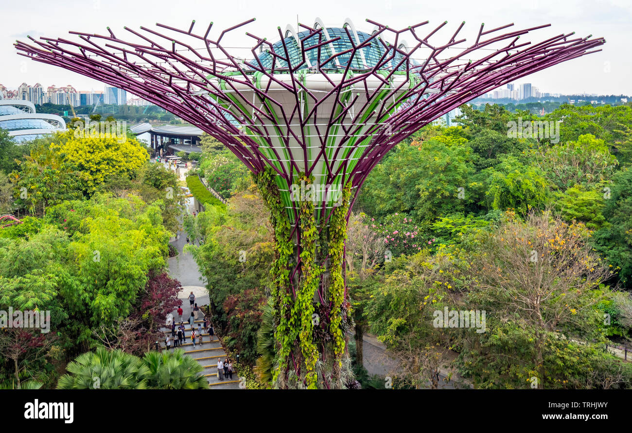 Traliccio in acciaio tettoia di un albero artificiale nel Supertree Grove a giardini dalla Baia di Singapore. Foto Stock