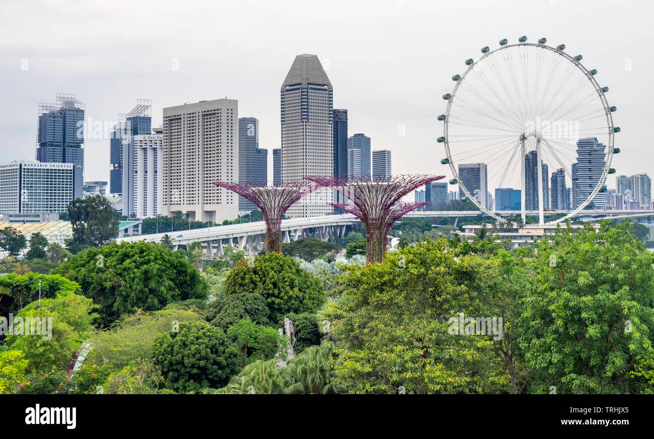 Singapore Flyer ruota panoramica Ferris e Millenia Tower e Supertree Grove giardino verticale a giardini dalla Baia di Singapore. Foto Stock