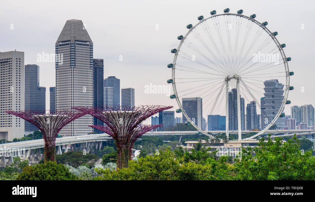 Singapore Flyer ruota panoramica Ferris e Millenia Tower e Supertree Grove giardino verticale a giardini dalla Baia di Singapore. Foto Stock