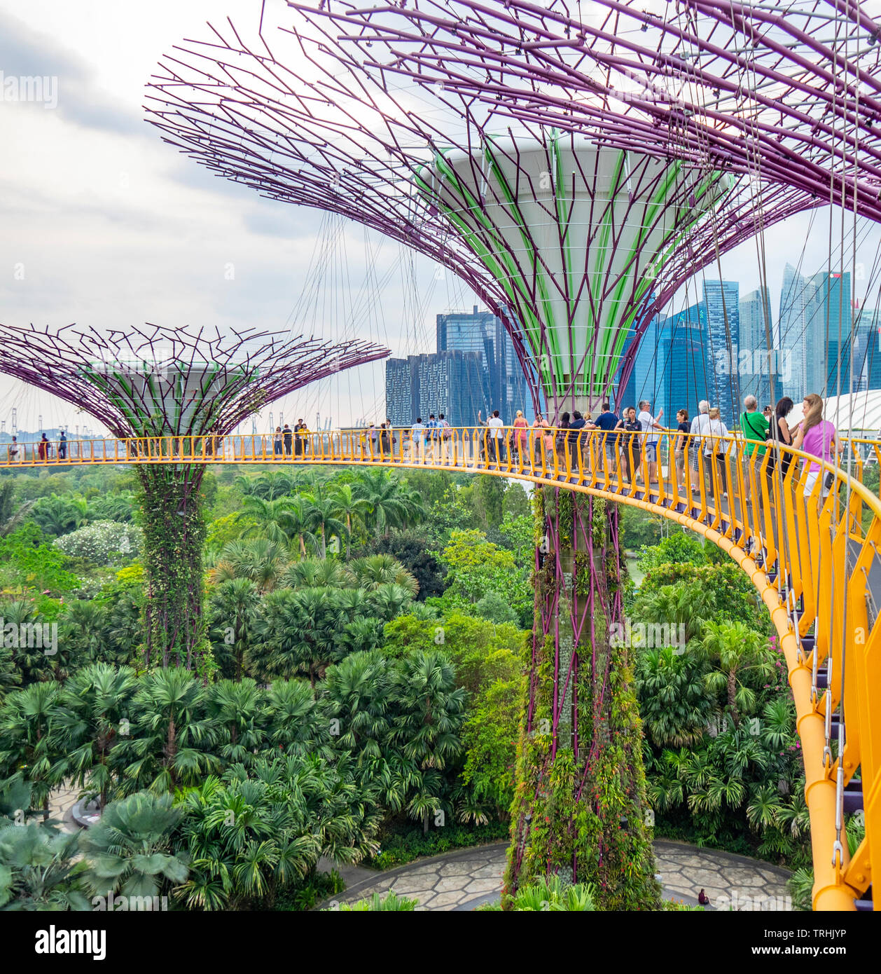 I turisti sulla passerella elevata OCBC Skyway tra due dei Supertrees nel Supertree Grove a giardini dalla Baia di Singapore. Foto Stock