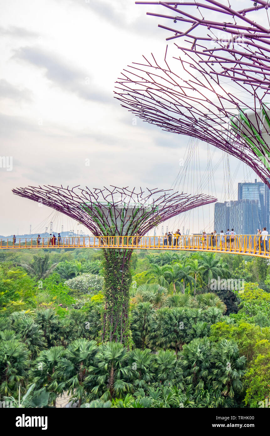 I turisti sulla passerella elevata OCBC Skyway tra due dei Supertrees nel Supertree Grove a giardini dalla Baia di Singapore. Foto Stock