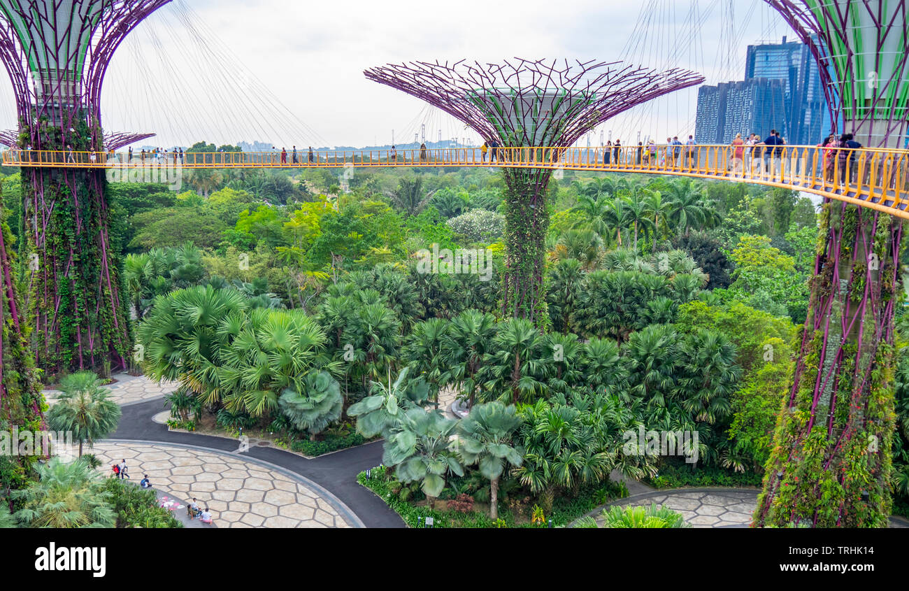 I turisti sulla passerella elevata OCBC Skyway tra due dei Supertrees nel Supertree Grove a giardini dalla Baia di Singapore. Foto Stock