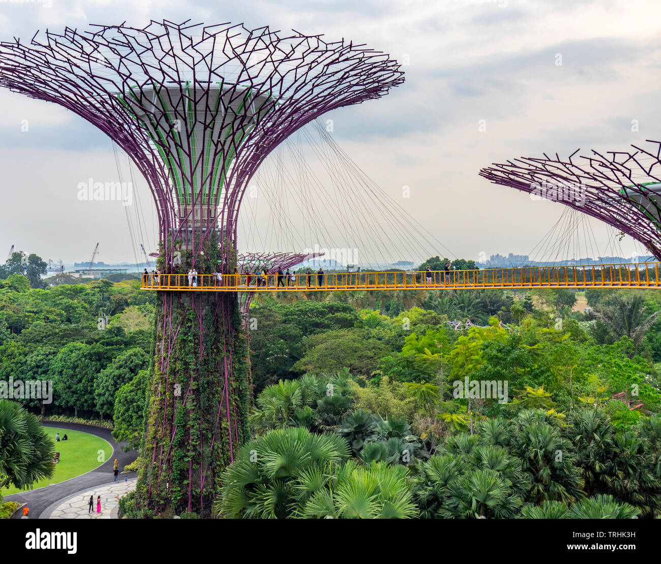 I turisti sulla passerella elevata OCBC Skyway tra due dei Supertrees nel Supertree Grove a giardini dalla Baia di Singapore. Foto Stock