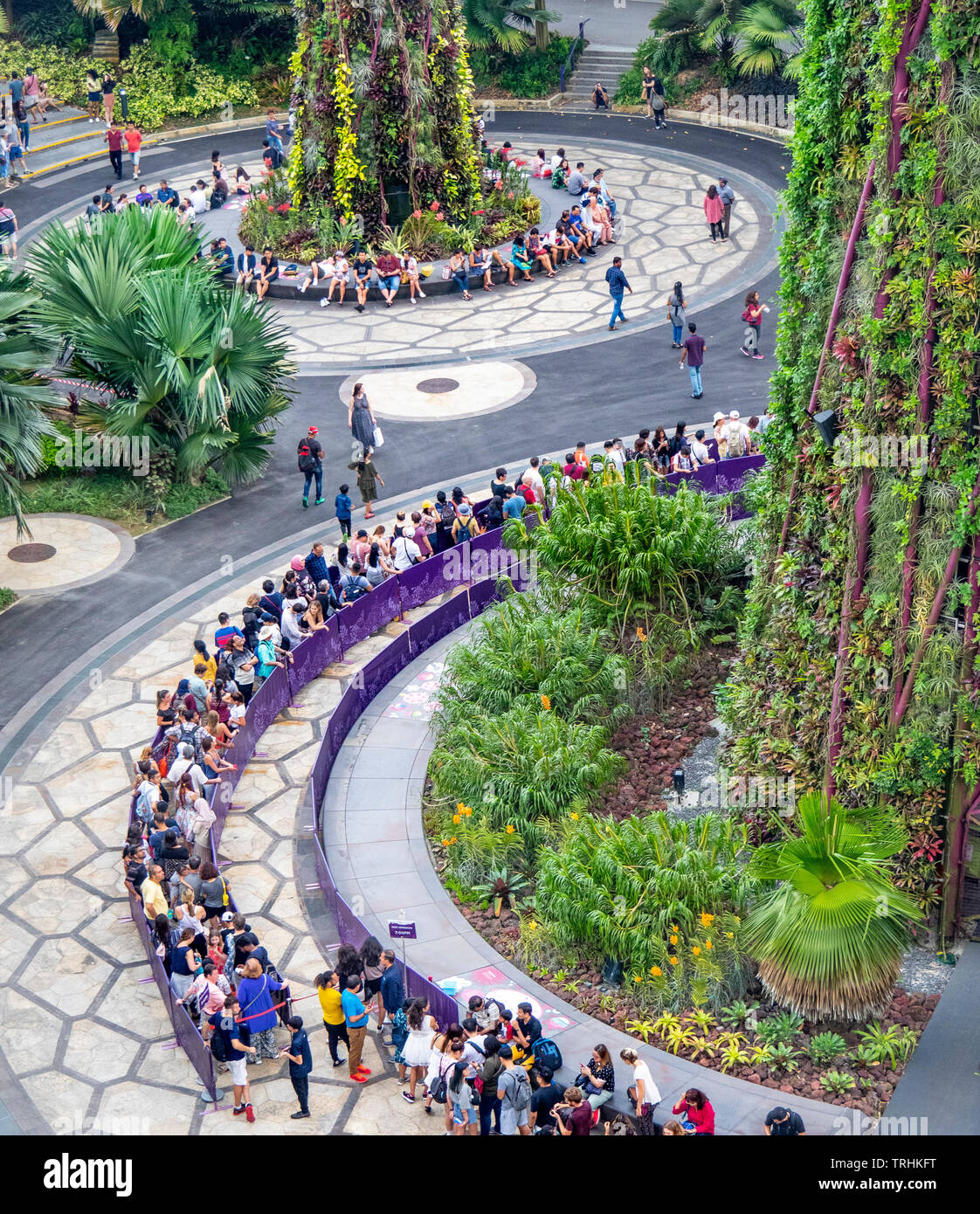 Coda di turisti in attesa di andare sulla passerella elevata nel Supertree Grove a giardini dalla Baia di Singapore. Foto Stock