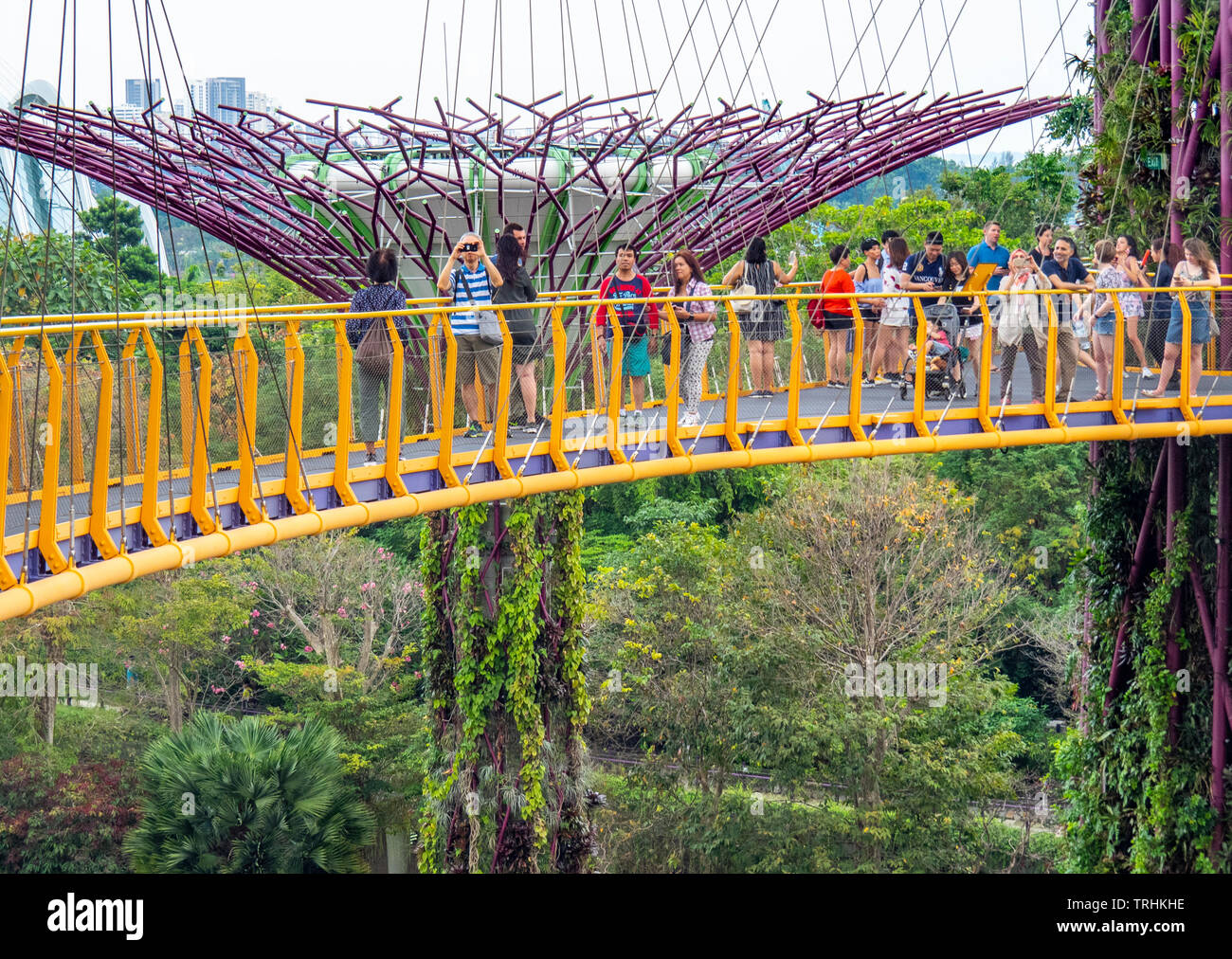 I turisti sulla passerella elevata OCBC Skyway tra due dei Supertrees nel Supertree Grove a giardini dalla Baia di Singapore. Foto Stock