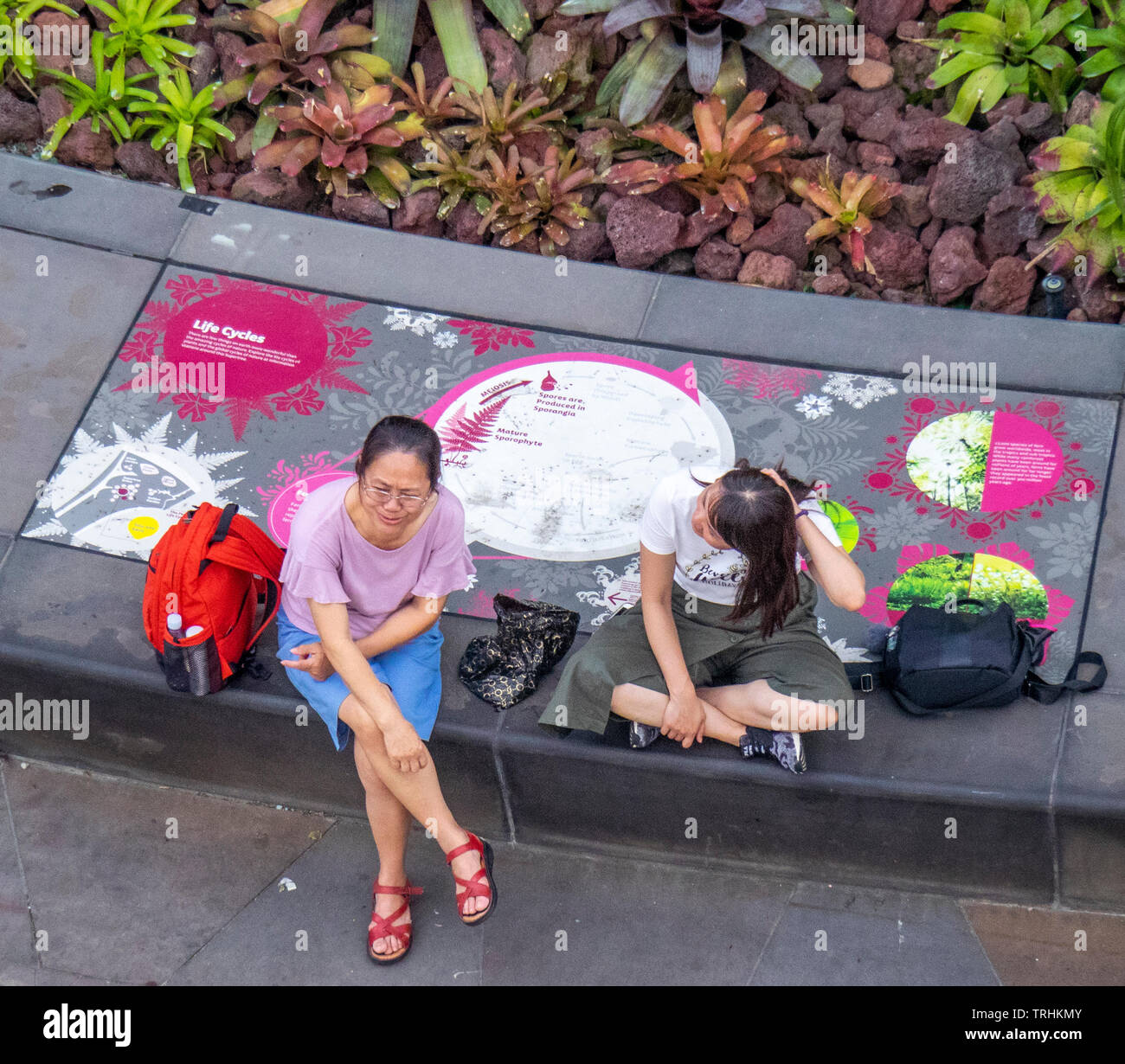 Madre e figlia adulta seduta al basamento in cemento di un Supertree presso i giardini dalla Baia di Singapore. Foto Stock