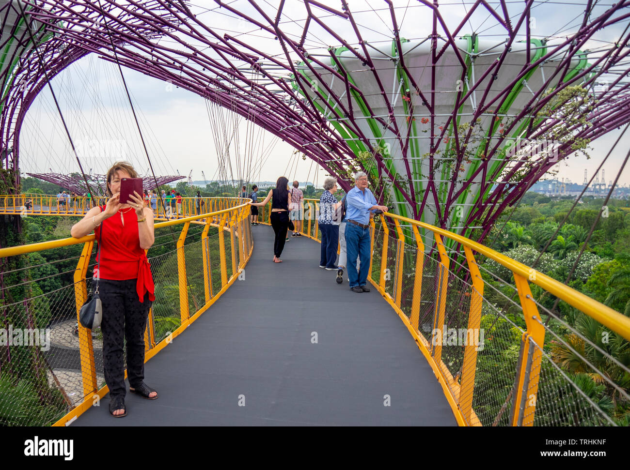 I turisti sulla passerella elevata OCBC Skyway tra due dei Supertrees nel Supertree Grove a giardini dalla Baia di Singapore. Foto Stock