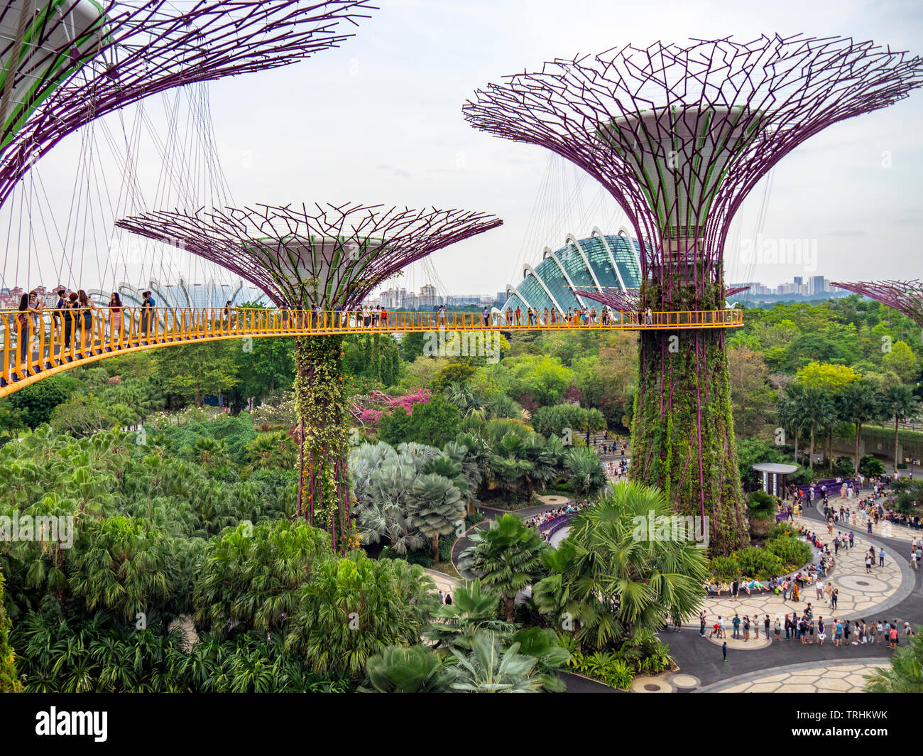 I turisti sulla passerella elevata OCBC Skyway tra due dei Supertrees nel Supertree Grove a giardini dalla Baia di Singapore. Foto Stock