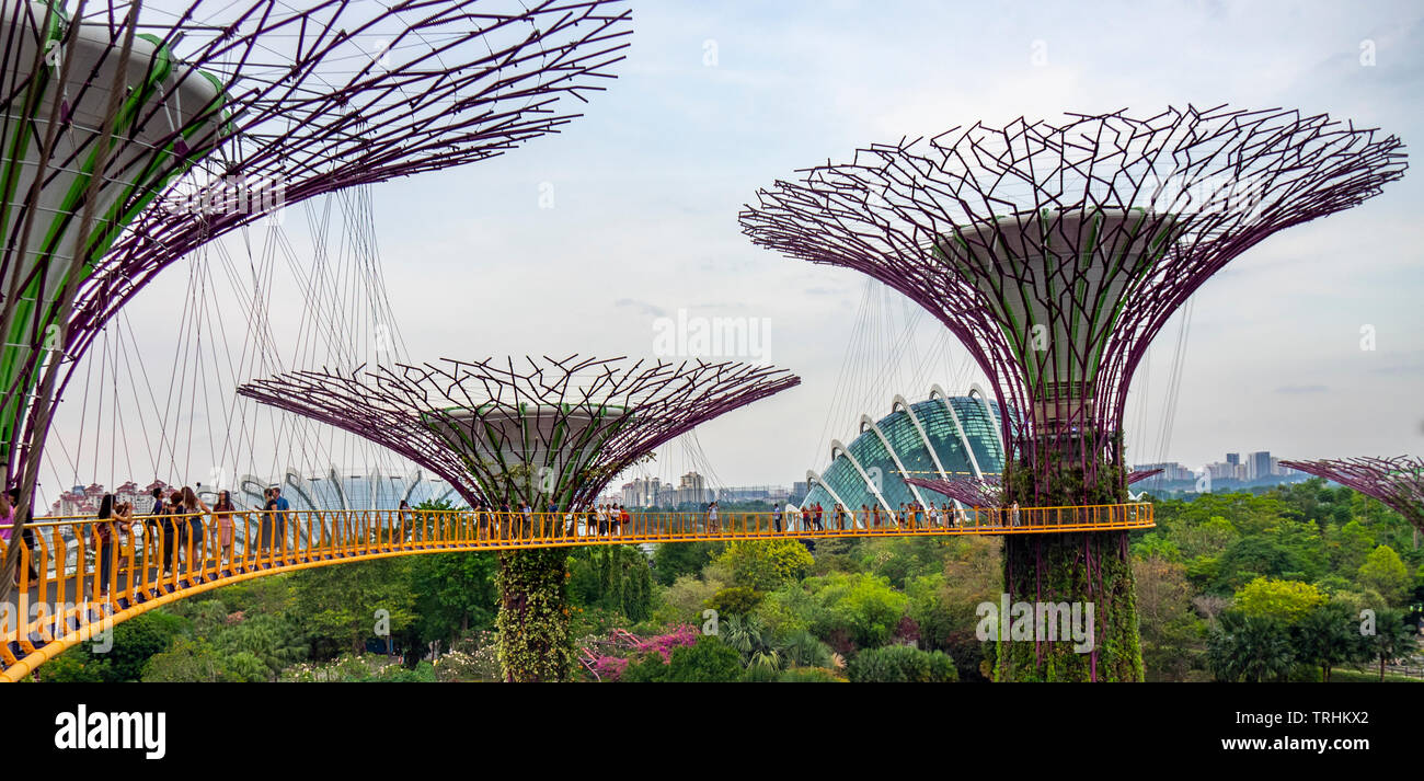 I turisti sulla passerella elevata OCBC Skyway tra due dei Supertrees nel Supertree Grove a giardini dalla Baia di Singapore. Foto Stock