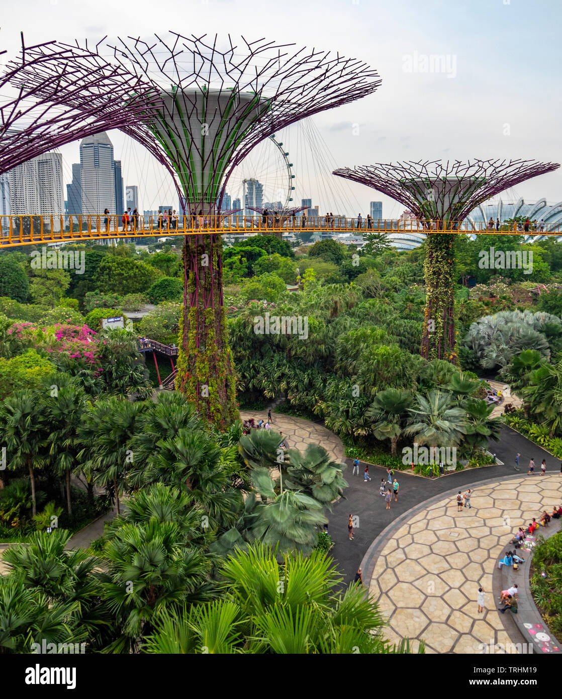 I turisti sulla passerella elevata OCBC Skyway tra due dei Supertrees nel Supertree Grove a giardini dalla Baia di Singapore. Foto Stock