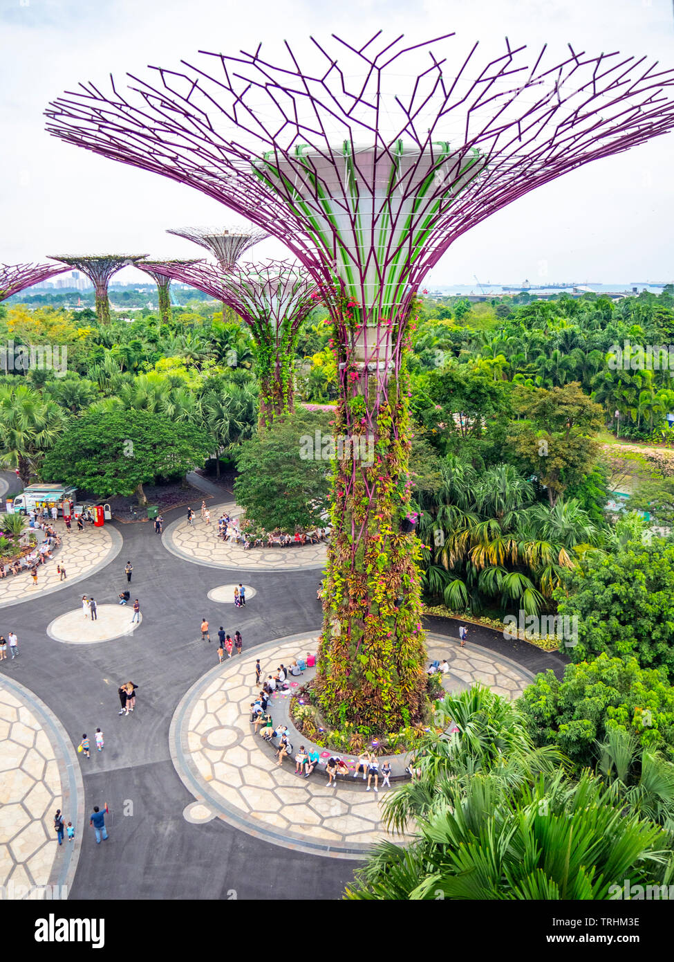 I turisti a passeggio tra gli alberi artificiali nel Supertree Grove giardino verticale a giardini dalla Baia di Singapore. Foto Stock