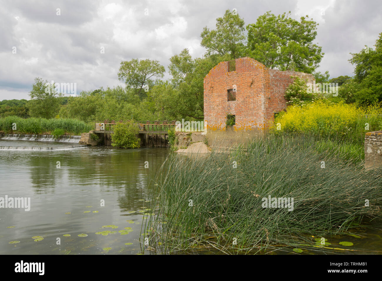 Le rovine del Mulino di taglio nei primi giorni di giugno si affaccia il suo mulino stagno sul Dorset Stour fiume sopra Sturminster Newton. Il mulino è caduto in derelection Foto Stock