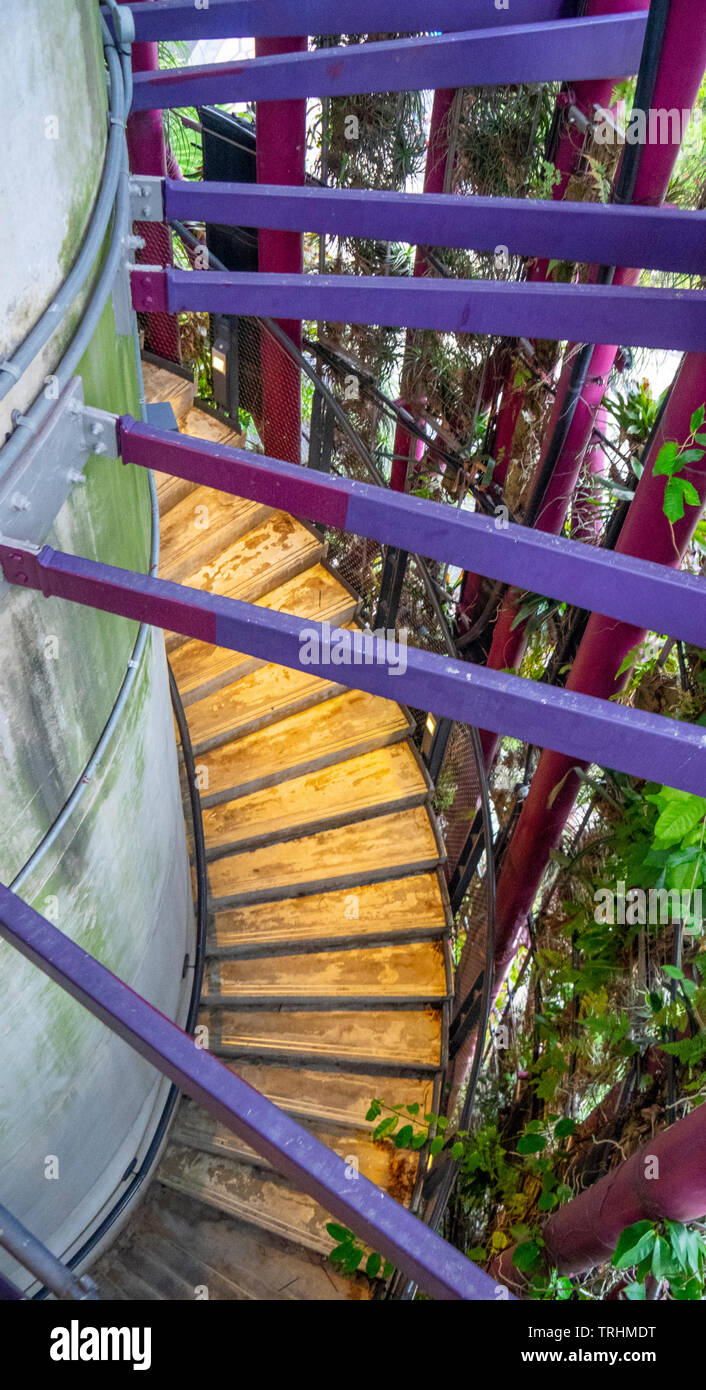 Scale, core e quadro di acciaio di un supertree giardino verticale a giardini dalla Baia di Singapore. Foto Stock