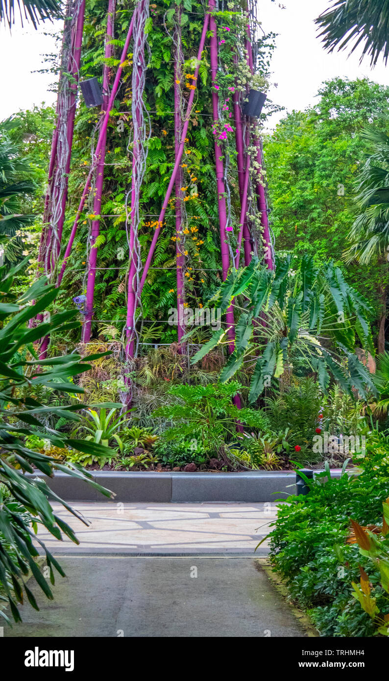 Base e telaio in acciaio di un supertree giardino verticale a giardini dalla Baia di Singapore. Foto Stock