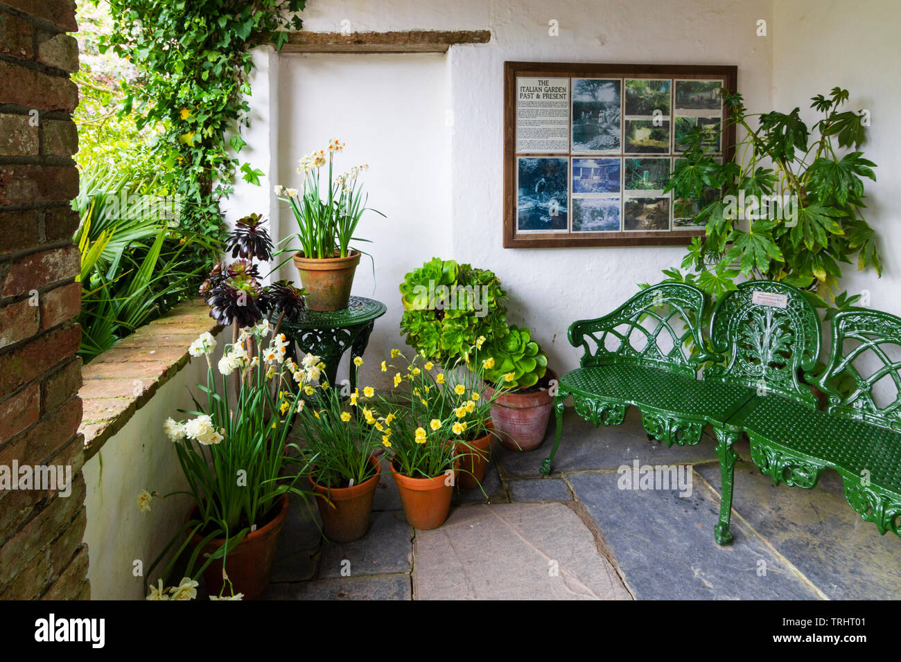 Lampadine a molla e una ghisa banco verde decorano le coperte area con posti a sedere nel giardino all'italiana a Heligan, Cornwall, Regno Unito Foto Stock