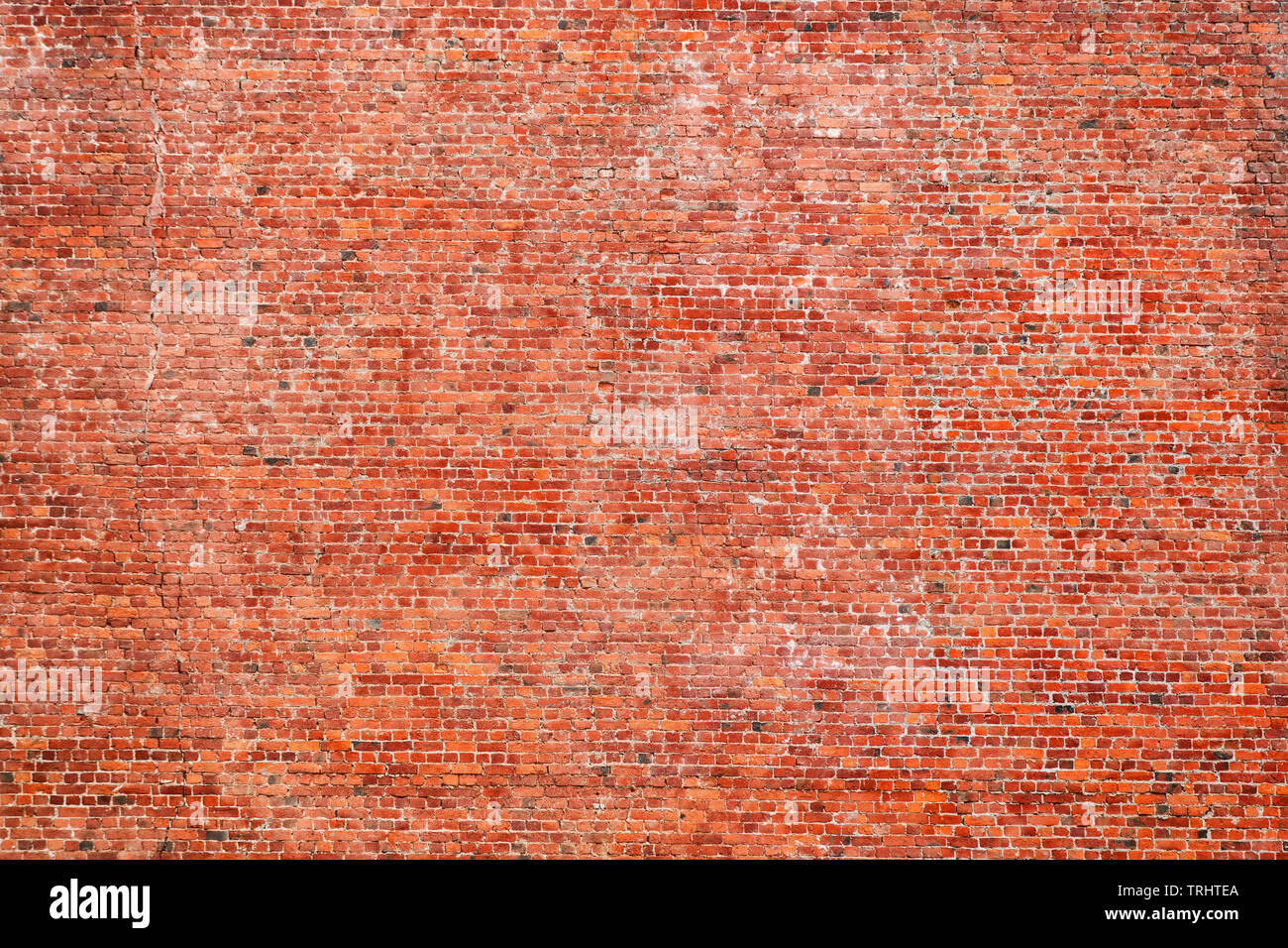 Grande rosso mattone ruvida parete. Texture e background Foto Stock