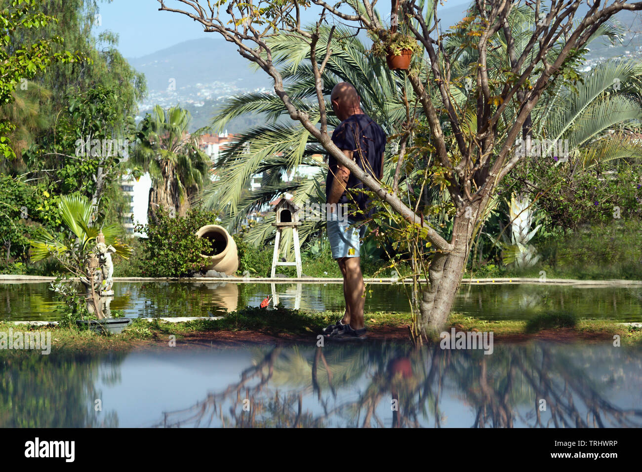 Più lussureggiante giardino con un laghetto, sta un uomo in una vista laterale su un molo e sfumature sull'acqua, la faccia non è riconoscibile. Prima che vi è acqua Foto Stock