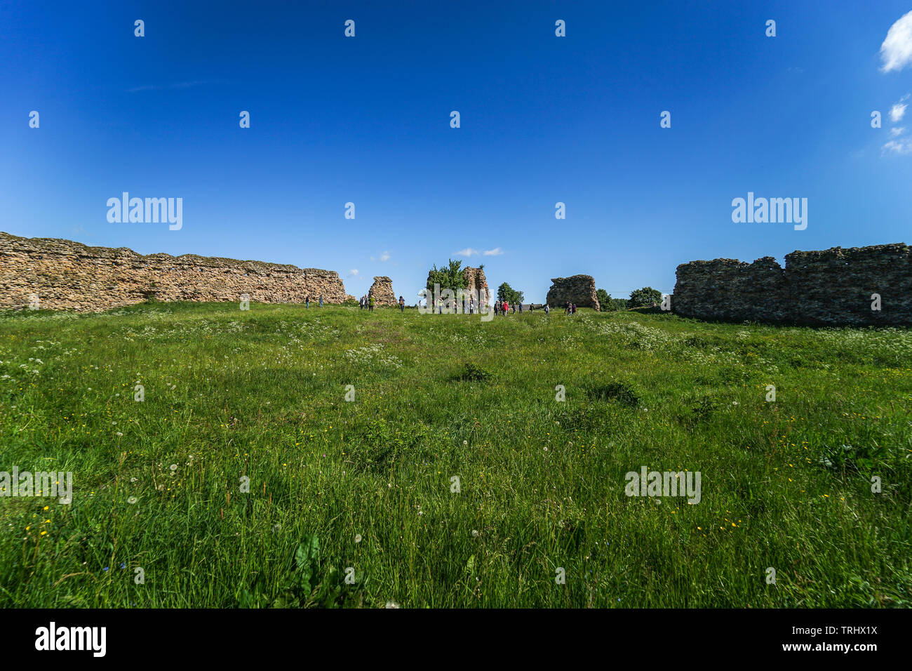 Il castello di Kreva in estate nel quartiere Smorgon, regione di Grodno, Bielorussia. Le rovine di una grande residenza fortificata dei Granduchi di Lituania Foto Stock