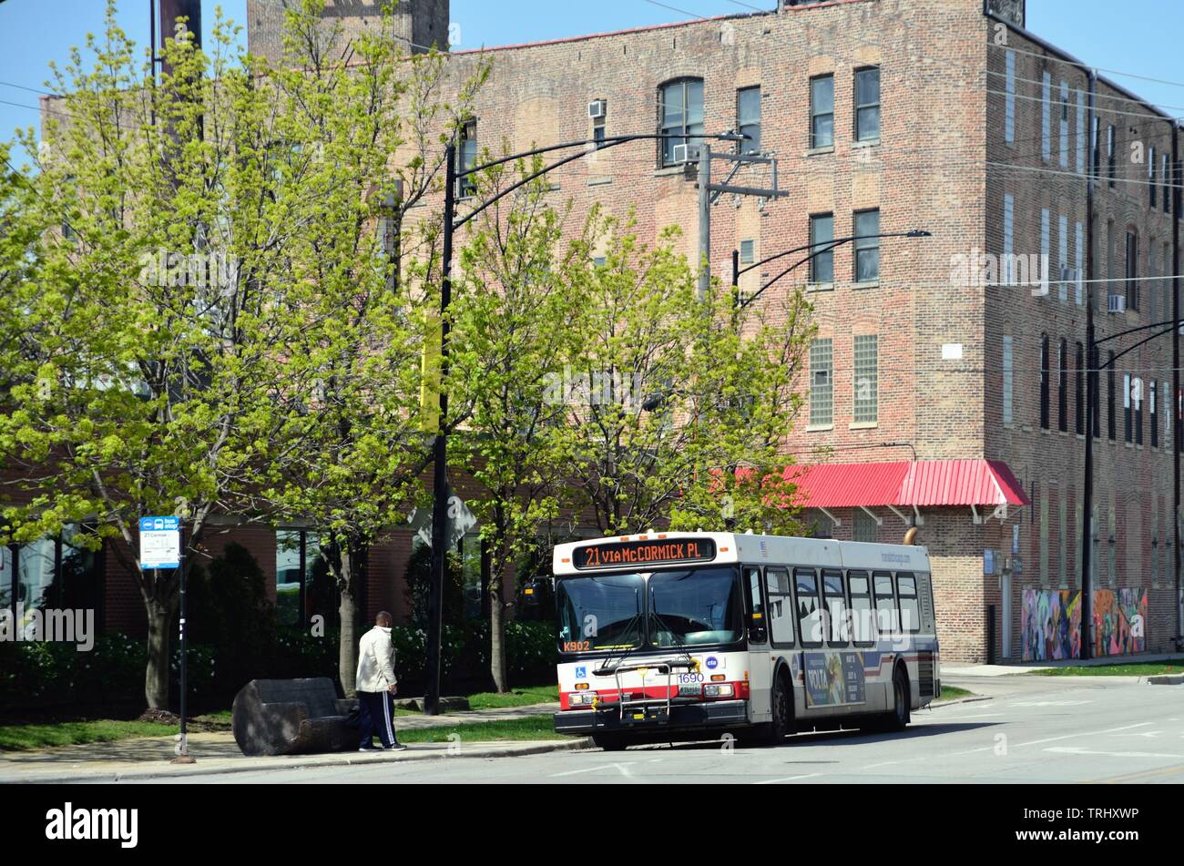 Chicago, Illinois, Stati Uniti d'America. Un CTA bus sulla strada Cermak rallenta per prelevare un lone passeggero ad una fermata di autobus. Foto Stock