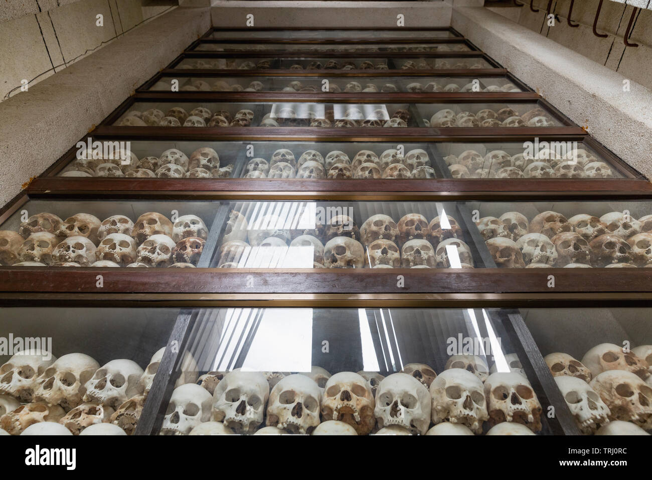 Pila di teschi umani al Choeung Ek Genocide Memorial Stupa al Killing Fields, Phnom Penh, Cambogia, Asia Foto Stock