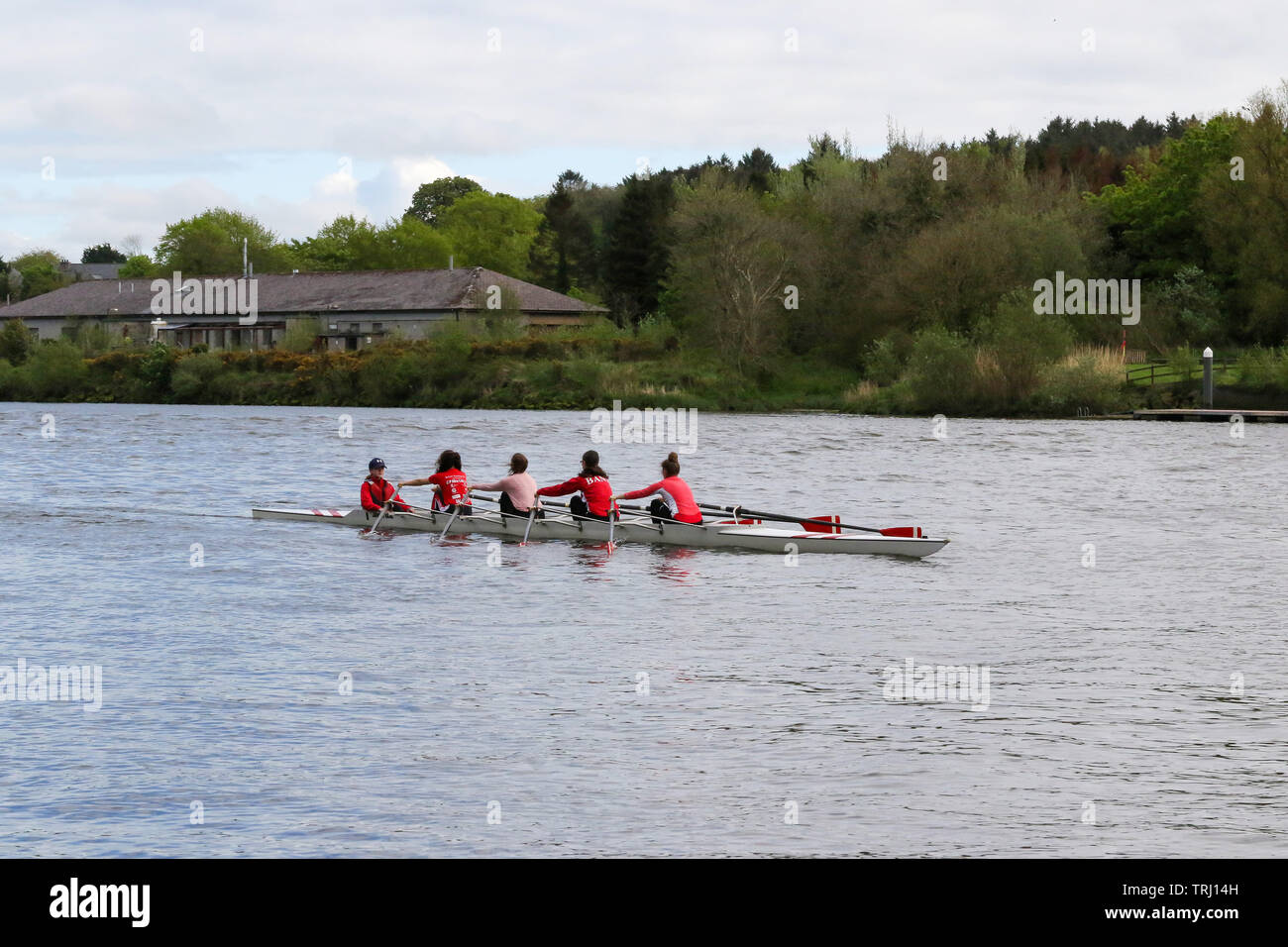 Barca a remi sul fiume Bann, Castleroe, Irlanda del Nord, con una donna coxed quattro tirando verso Coleraine. Foto Stock