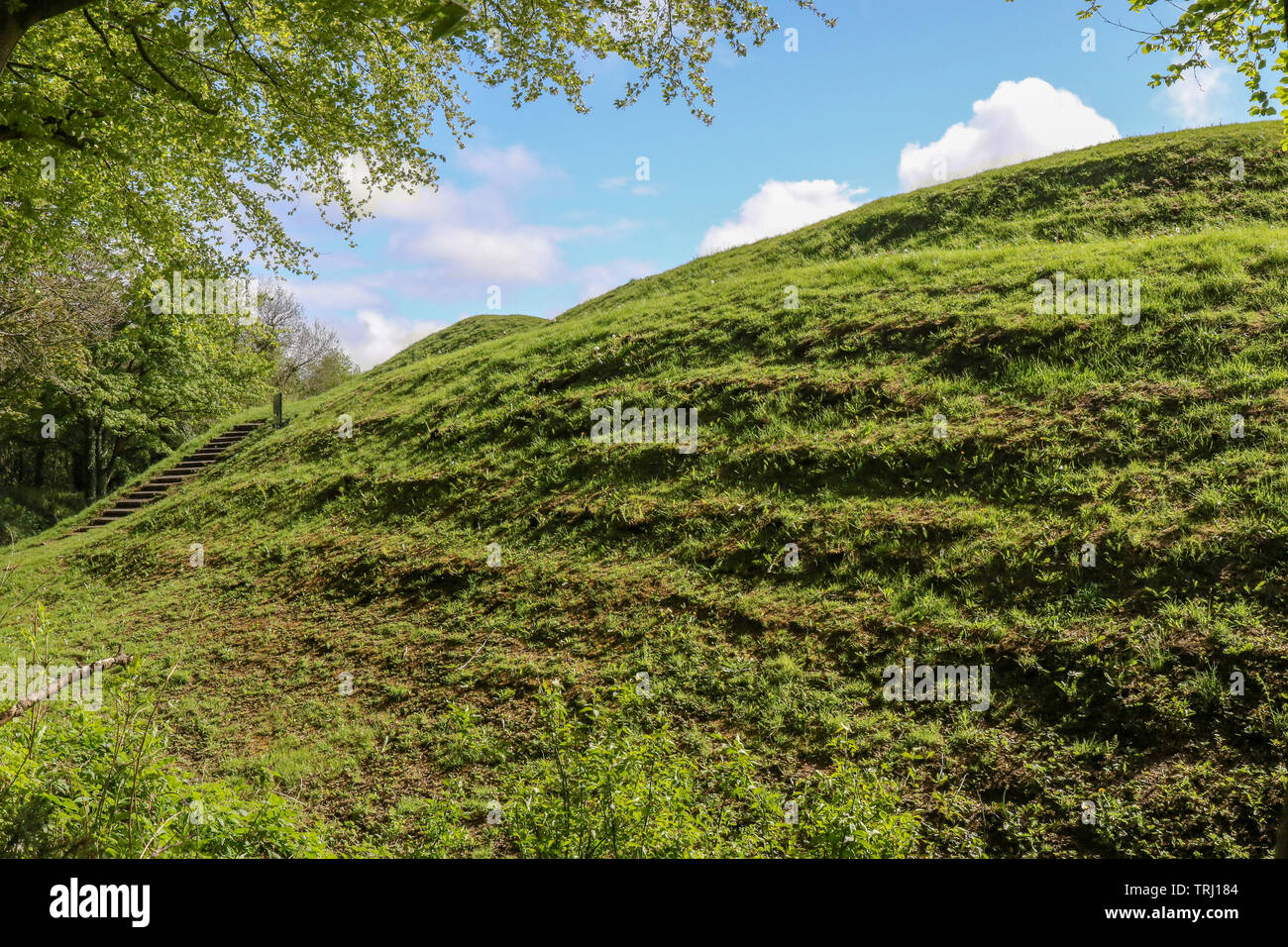 Il lato nord-est del tumulo a Mount Sandel Fort, antica terracotta Iron Age Fort, sulle rive del fiume Bann a Coleraine. Foto Stock