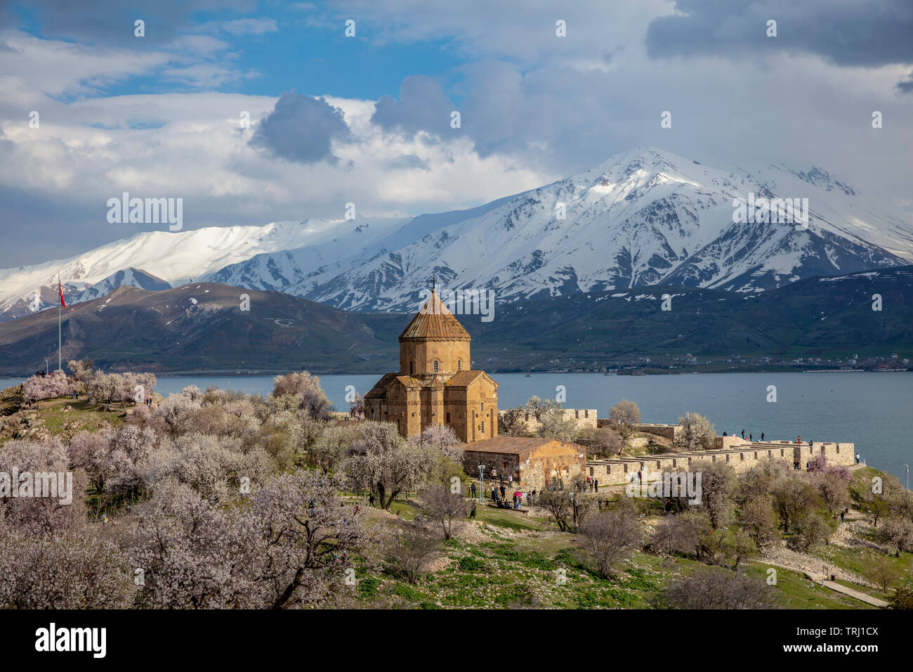 Incredibile vista di primavera della Chiesa Armena della Santa Croce sull isola Akdamar (Akdamar Adasi), il lago Van/Turchia. Circondato da alberi in fiore in un middl Foto Stock