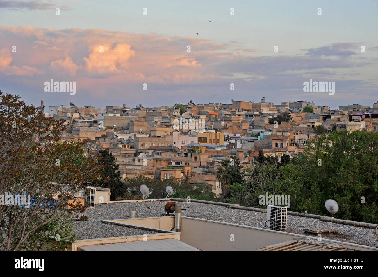 Vista sul tetto di Sanliurfa in Turchia Foto Stock