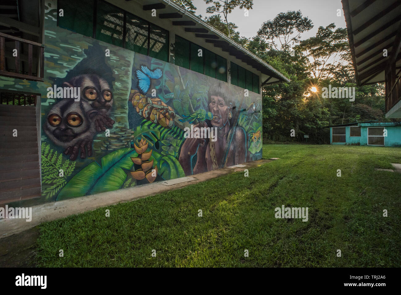 Il sole tramonta su Yasuni stazione di ricerca in Ecuador, un murale raffigurante la natura è visibile sul lato di un edificio. Foto Stock