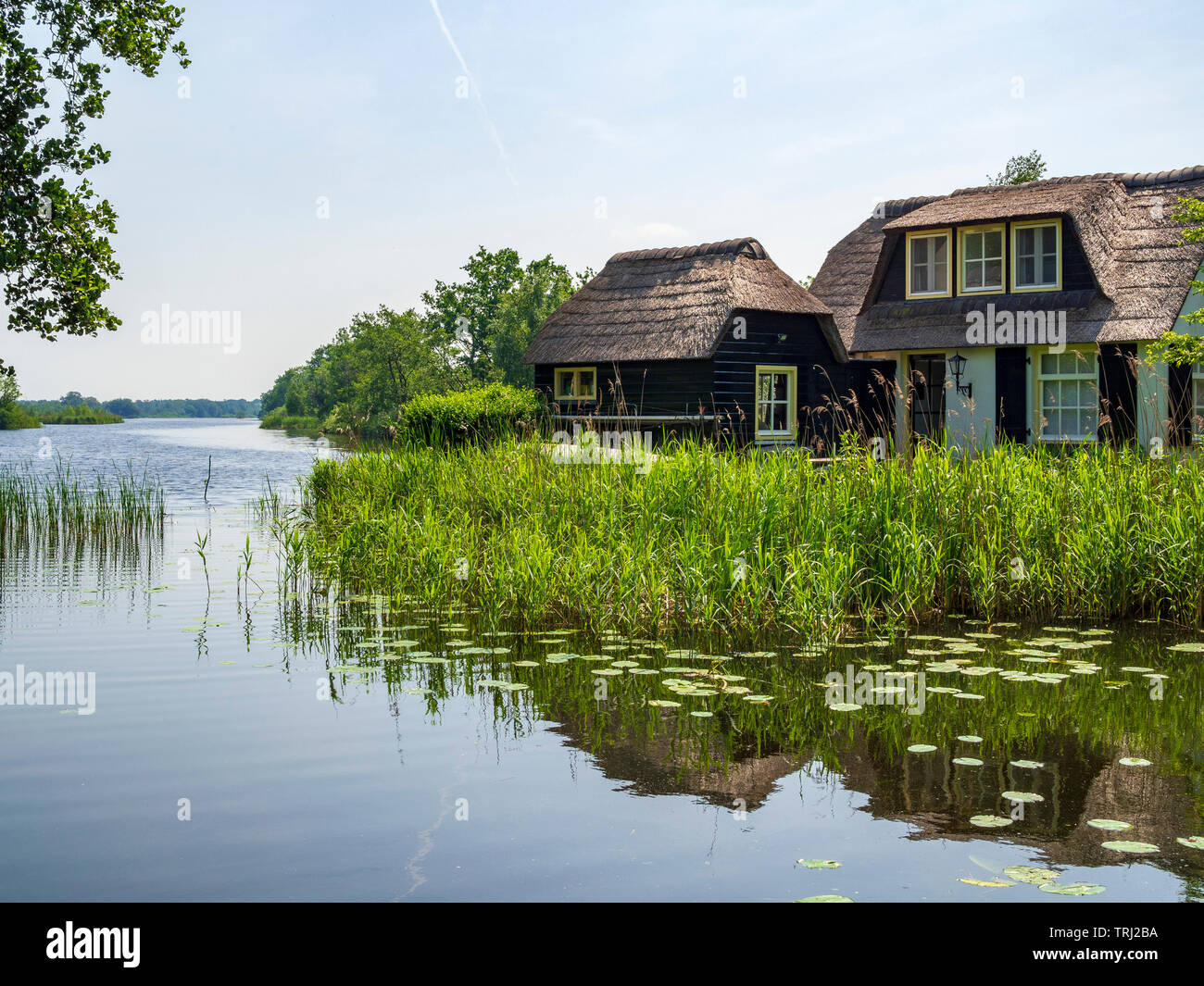 Una casa in stile tradizionale sul lago "Ankeveense Plassen', creato da torba raccolta, in Ankeveen, Paesi Bassi. Foto Stock