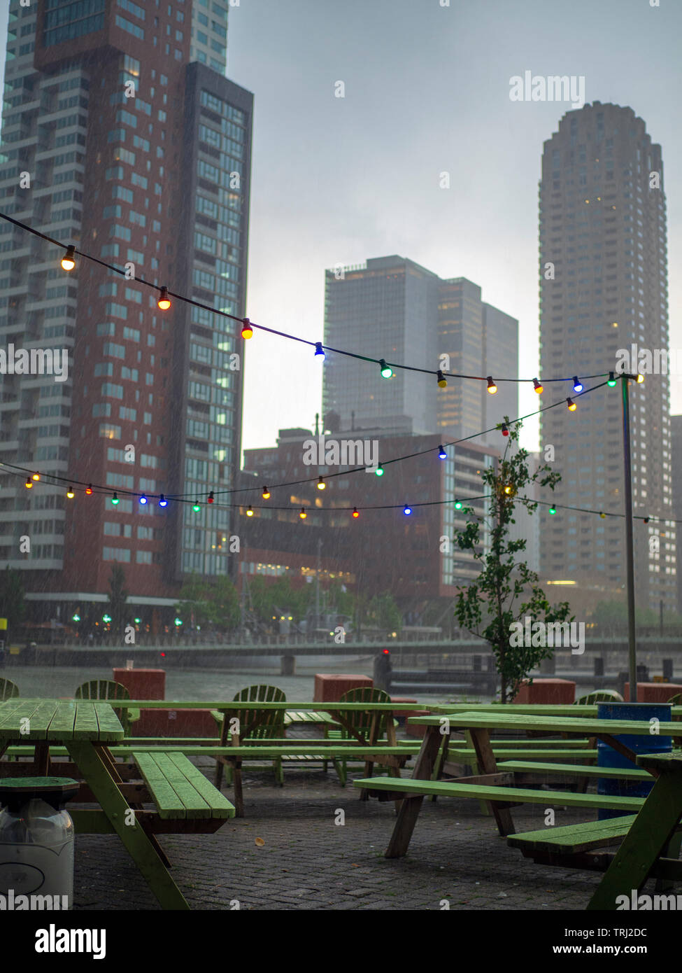 La pioggia della 'de Kop van Zuid' quartiere a Rotterdam come si vede dal Fenix stabilimento alimentare, Paesi Bassi. Foto Stock