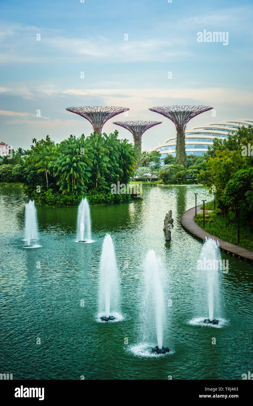 Singapore - Apr 30, 2019: fontane in lago di libellula con supertrees in background. Una bella vista in giardini dalla baia di Singapore. Foto Stock