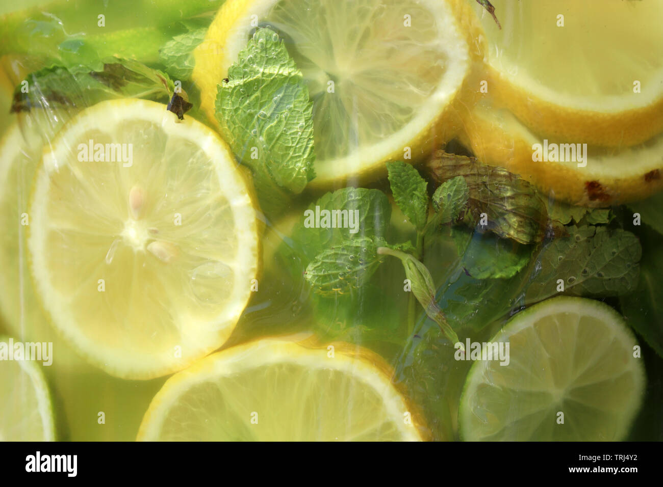 Cocktail Mojito chiudere in su in un bar. Bevanda rinfrescante con la menta e lime Foto Stock