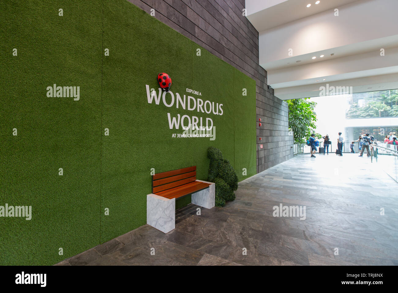 Punto di appoggio - Gioiello dell'Aeroporto Changi di Singapore Foto Stock