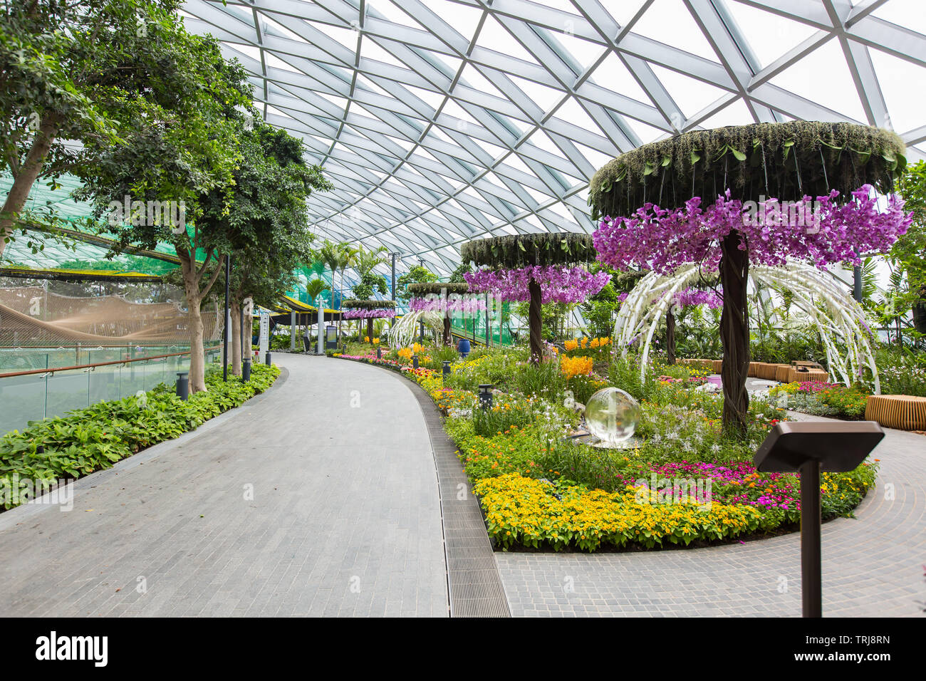 Splendida vista interna del Canopy Park all'aeroporto Jewel Changi di Singapore Foto Stock