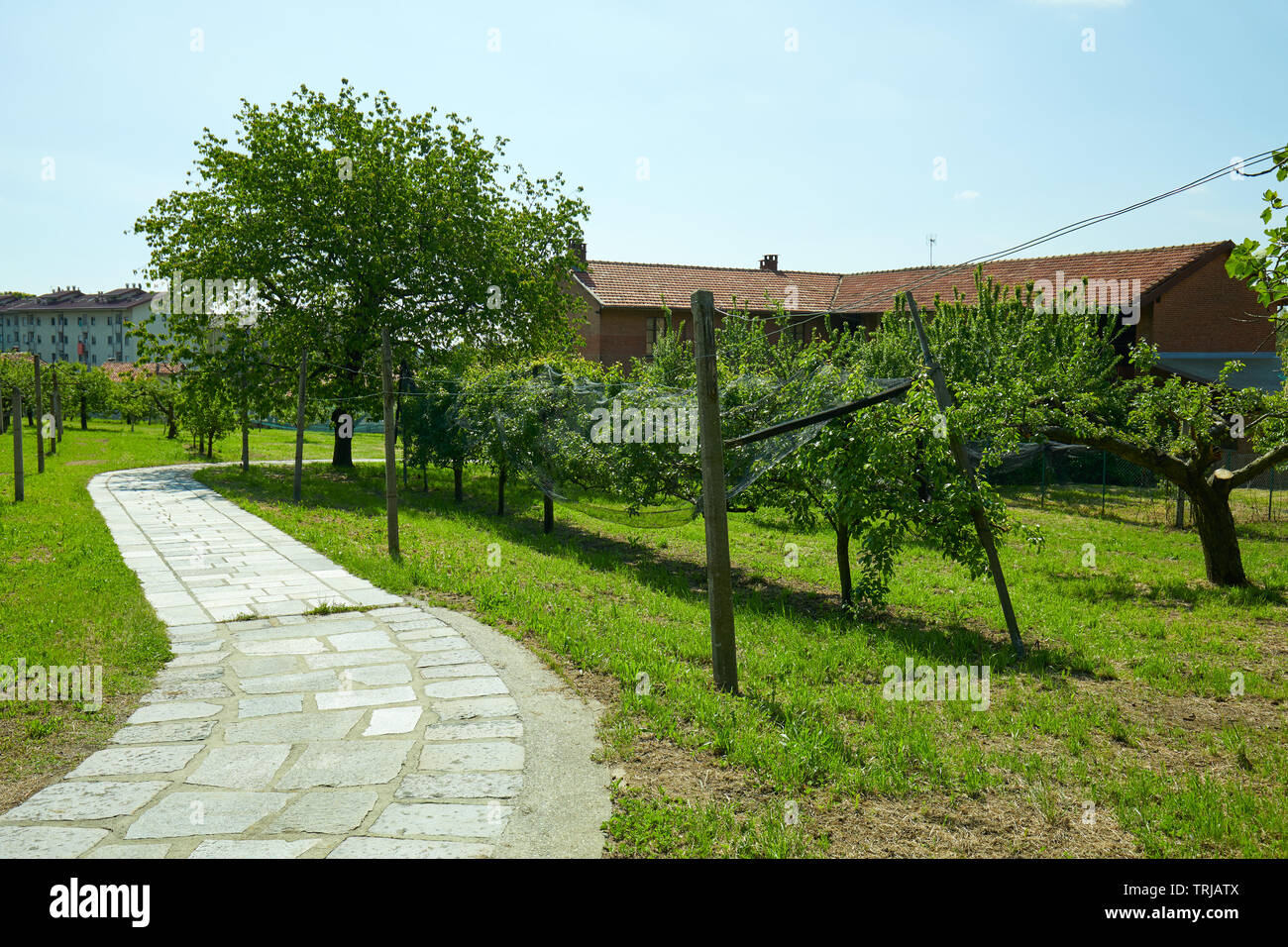 In piastrelle di pietra percorso, frutteto e casa rurale in una soleggiata giornata estiva, Italia Foto Stock