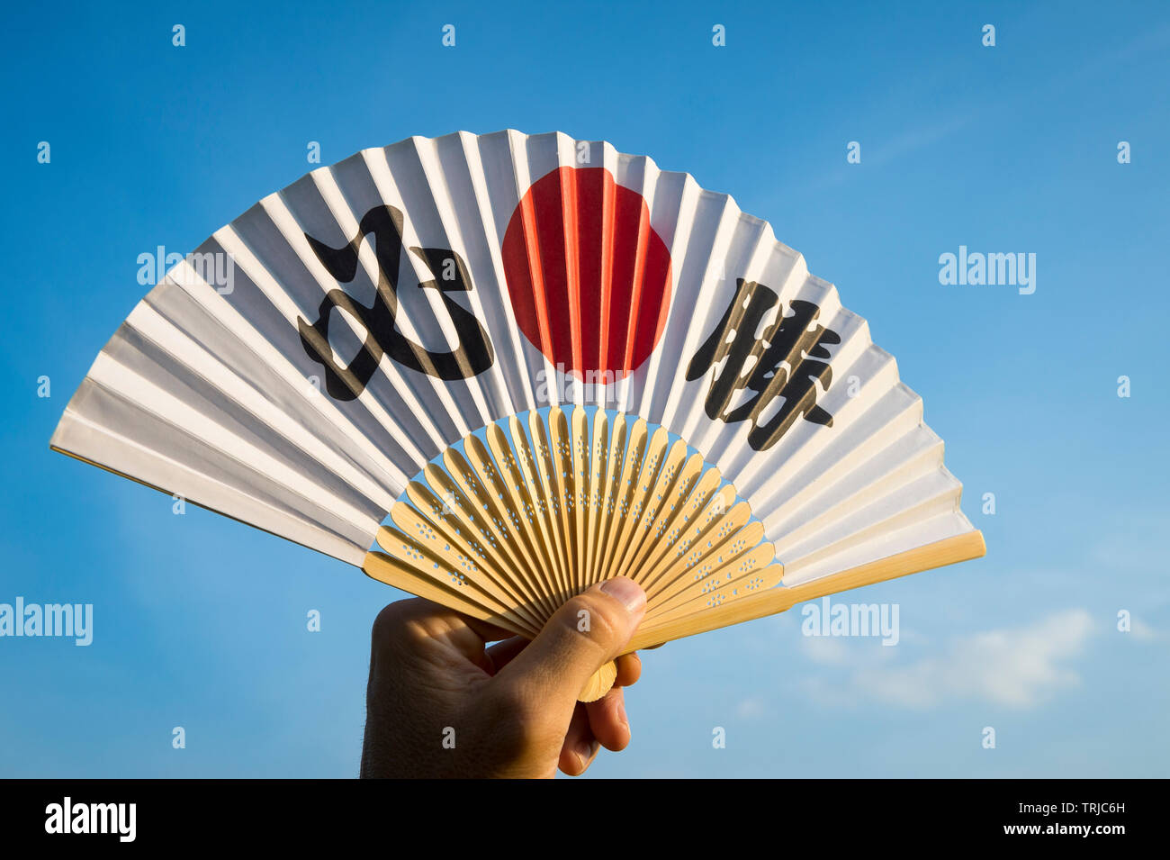 Mano del giapponese sostenitore dello sport tenendo una ventola decorate con i caratteri kanji compitazione hisshō, vittoria certa in inglese Foto Stock