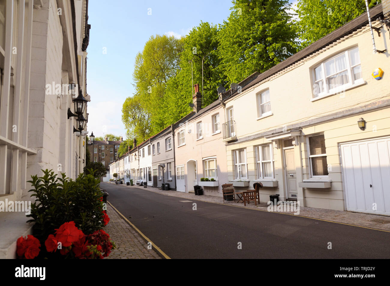 Elm Park Lane è una tranquilla parte-acciottolate mews tra Elm Park Road e Beaufort Street a Chelsea, Londra SW3, England, Regno Unito Foto Stock