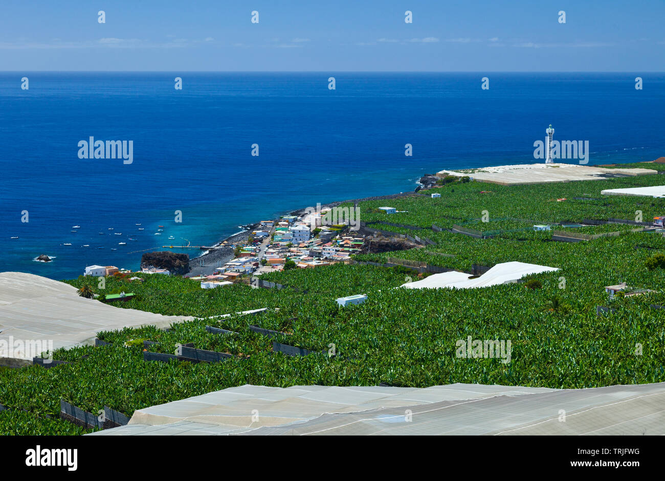 Pueblo Puerto Naos. Isla La Palma. Provincia di Santa Cruz. Islas Canarias. España Foto Stock