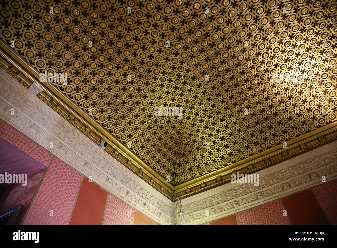Il soffitto decorato in legno in stile nella casa del Capitolo. Il XVI secolo. Casa di commercio. Alcazar di Siviglia. Spagna. Foto Stock