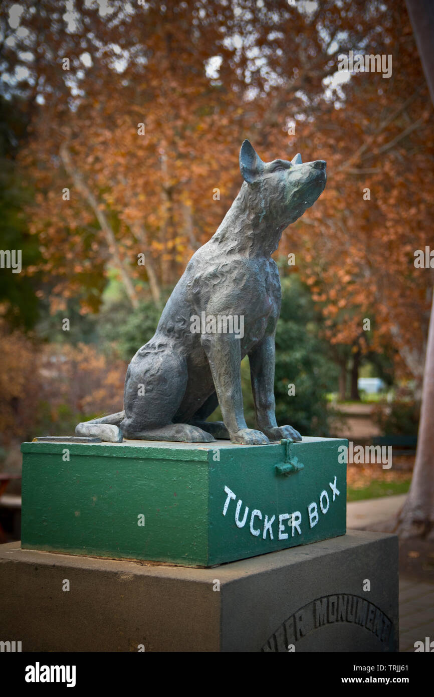 Il cane sulla scatola del piegatore Foto Stock