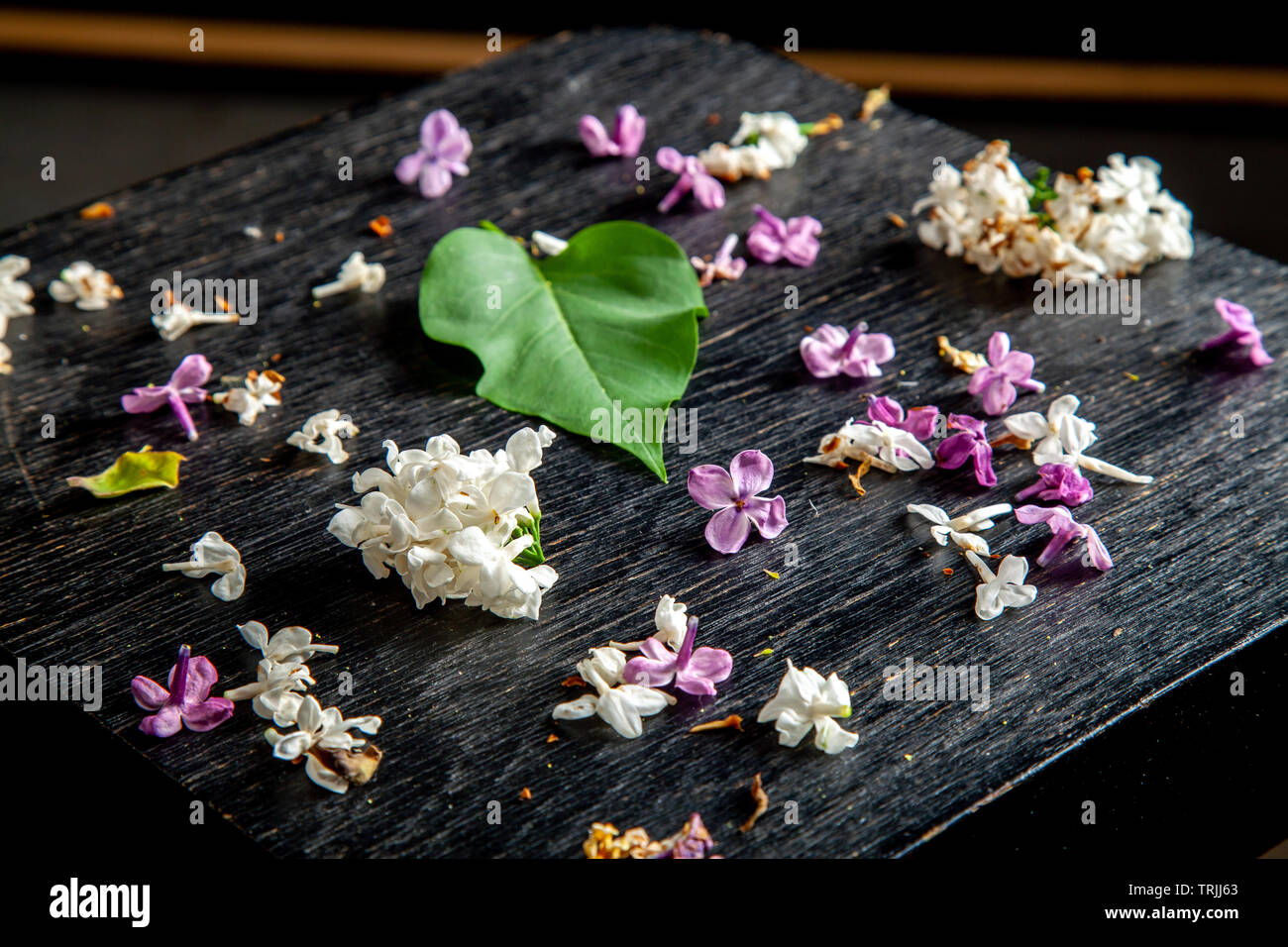 Bianco e viola caduti fiori lilla e foglia verde sulla tavola nera. Sfondo scuro di foglia verde e caduti fiori lilla. Foto Stock