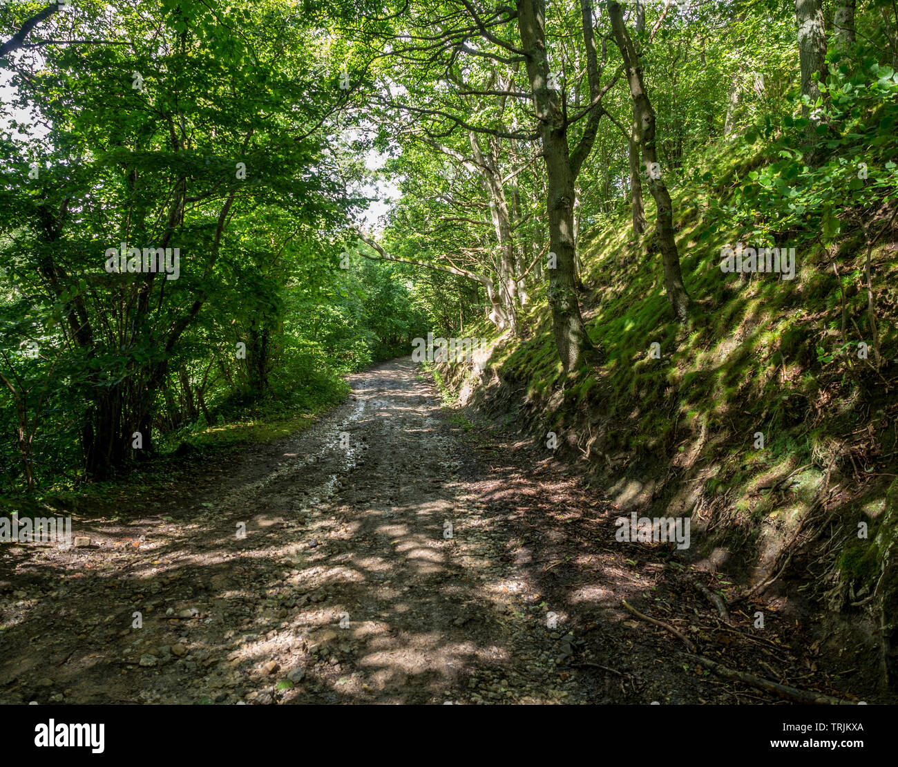 Green Lane via, North Yorkshire Moors Foto Stock