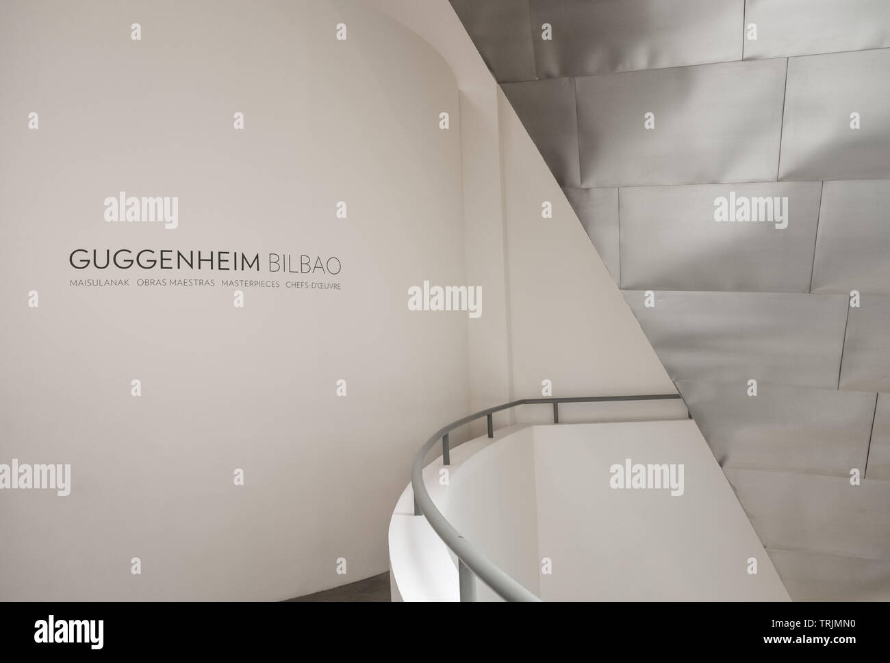 La sezione interna del Museo Guggenheim, Bilbao, Spagna Foto Stock